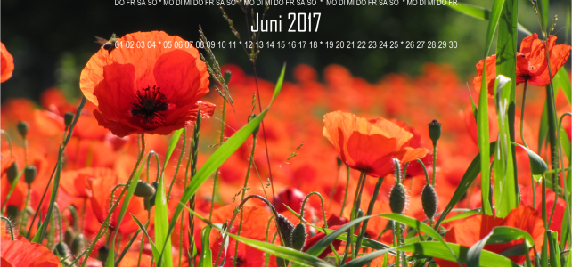 Lieblingsmonat JUNI Lieblingsmonat JUNI