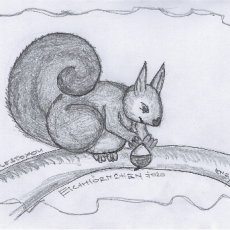 Wie es zu DoodlesToYou #022 Eichhörnchen kam Wie es zu DoodlesToYou #022 Eichhörnchen kam